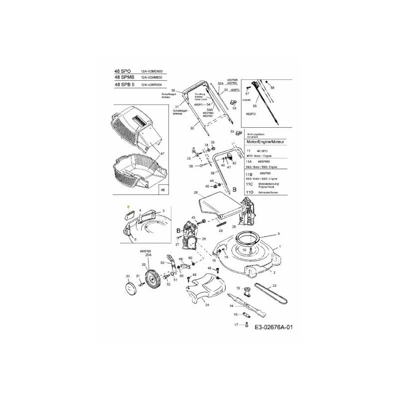 newgardenstore-22903385