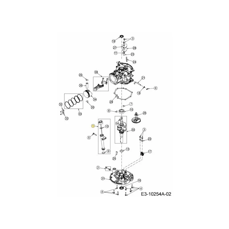 newgardenstore-22905201