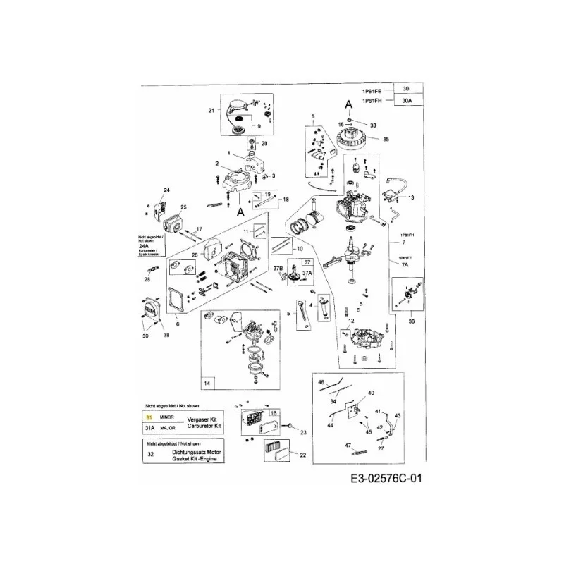 newgardenstore-22917933
