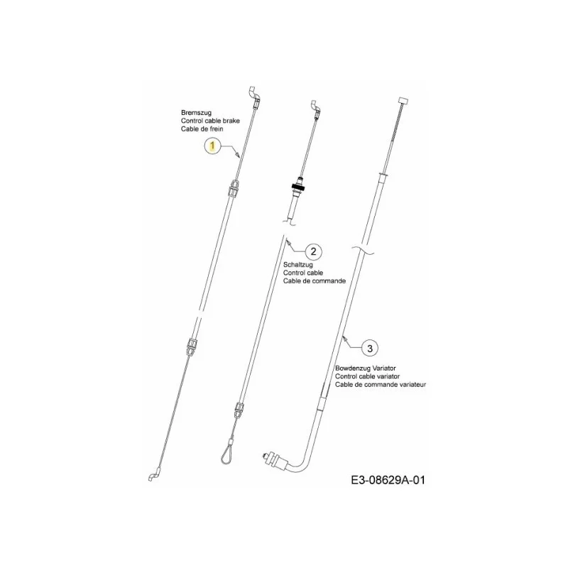 newgardenstore-22921133