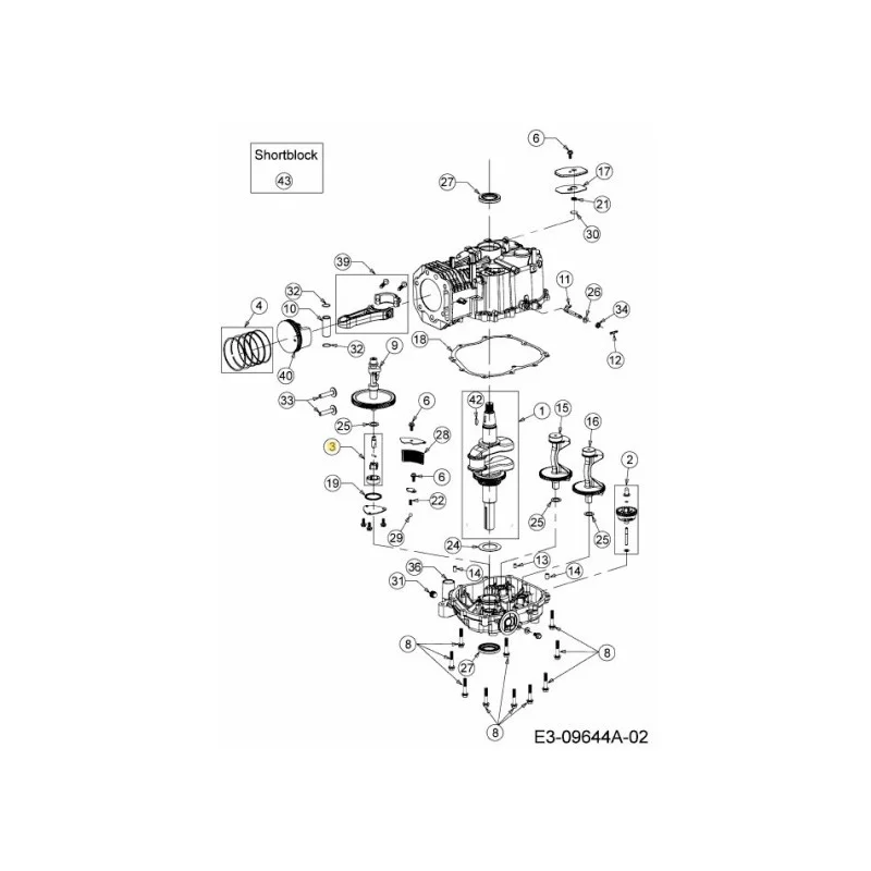 newgardenstore-22921859