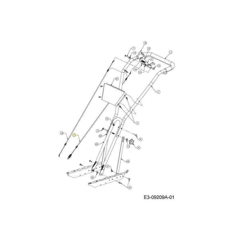 newgardenstore-22922181