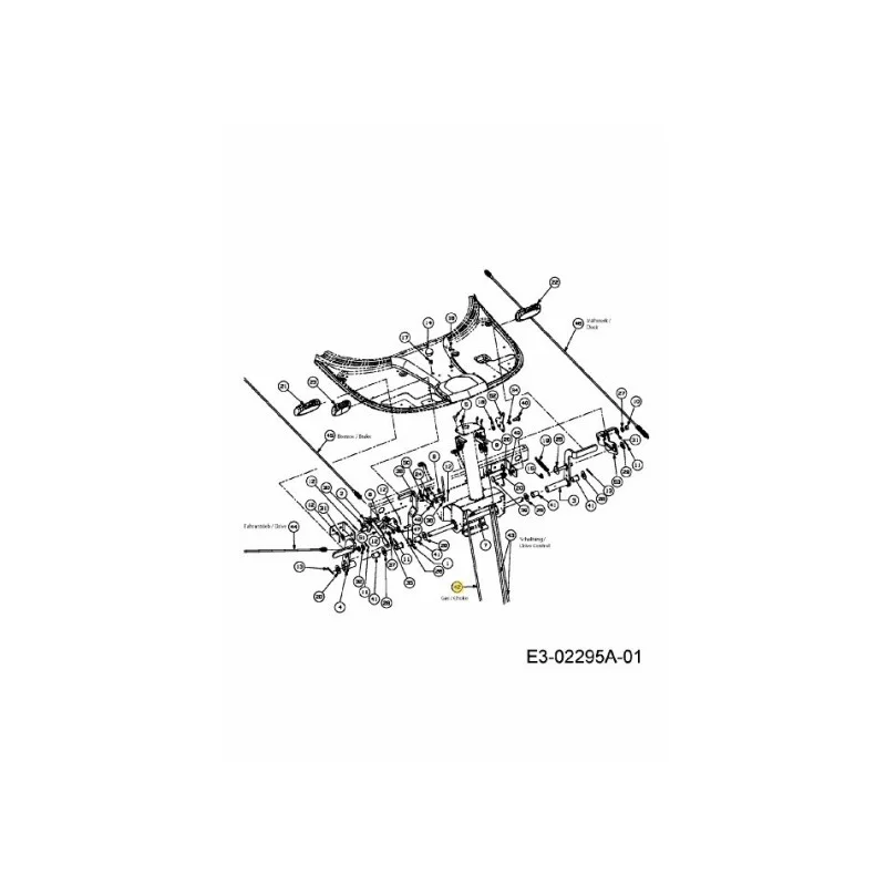 newgardenstore-22928294