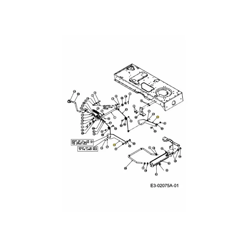 newgardenstore-22928813