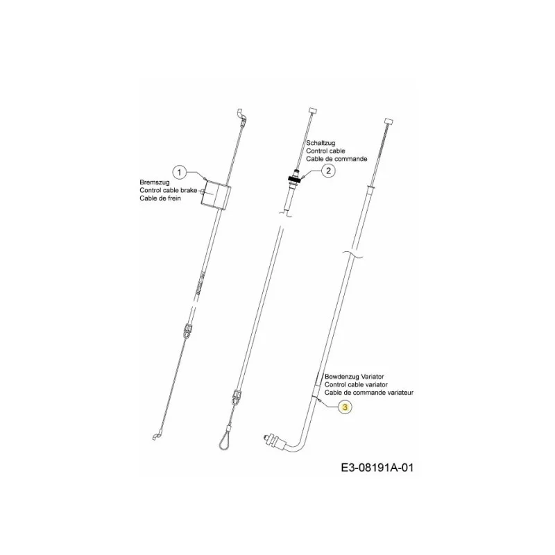 newgardenstore-22934106