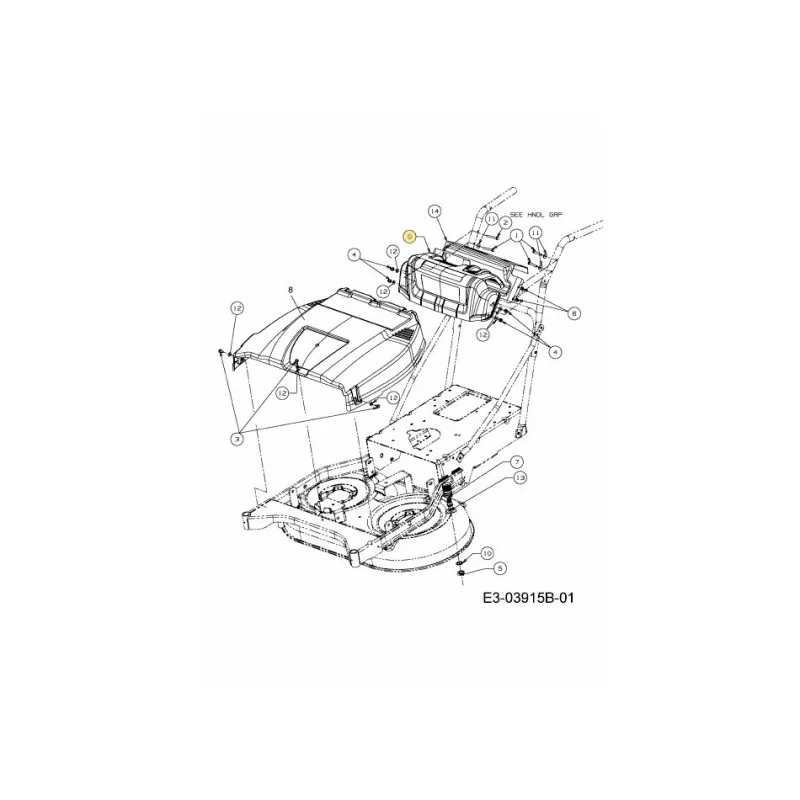 newgardenstore-22936607