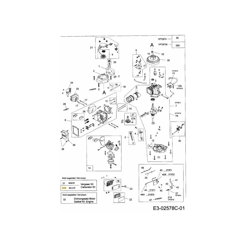 newgardenstore-22937499