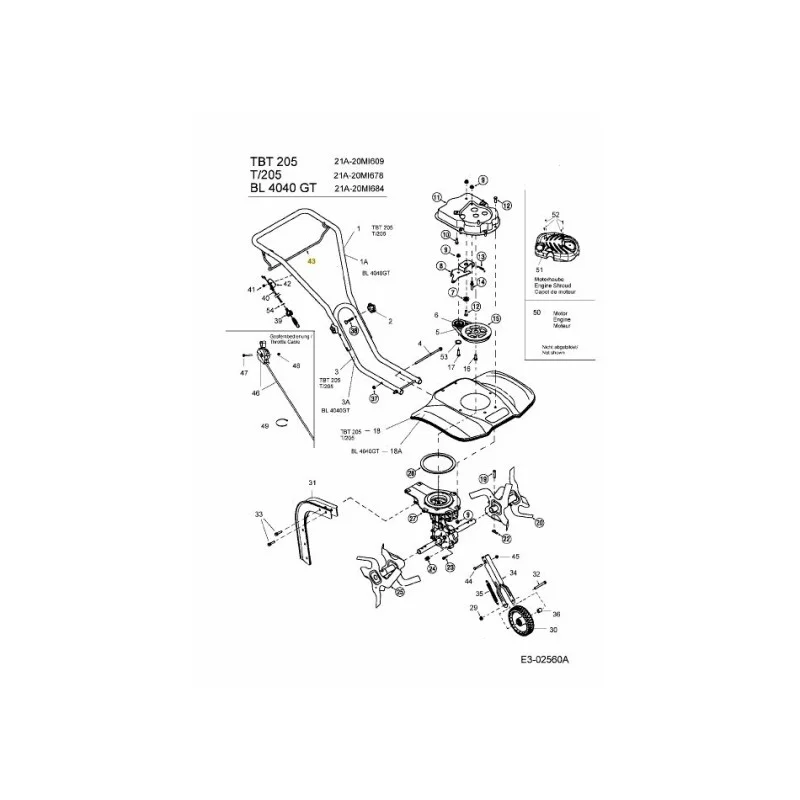 newgardenstore-22938662