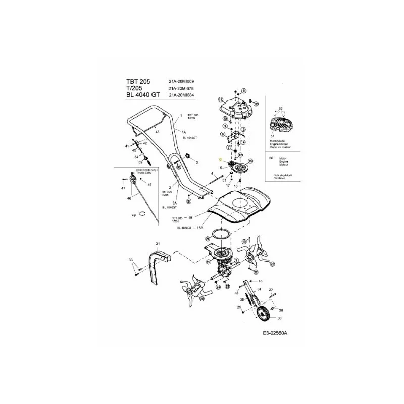 newgardenstore-22957371