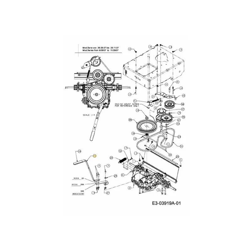newgardenstore-22963900