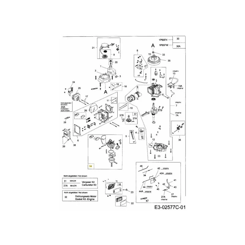 newgardenstore-22969216