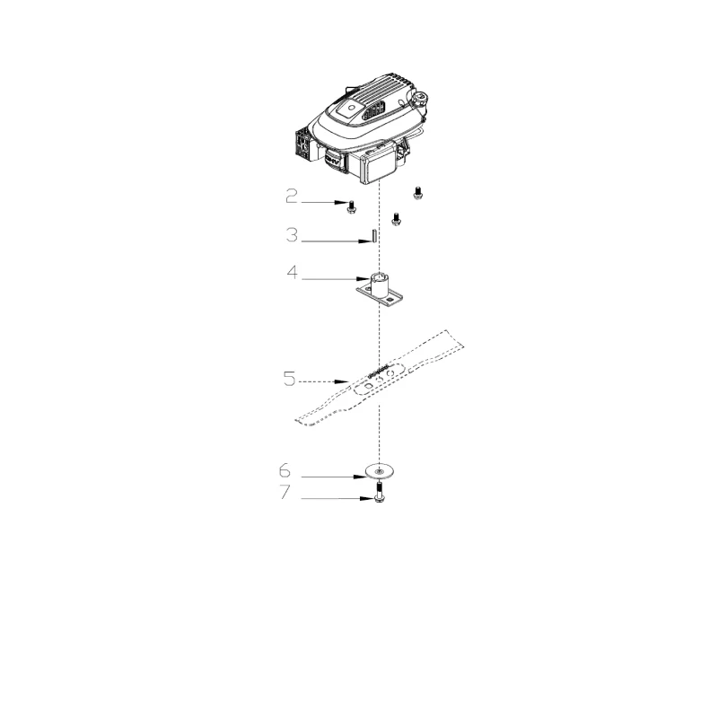 newgardenstore-23206719