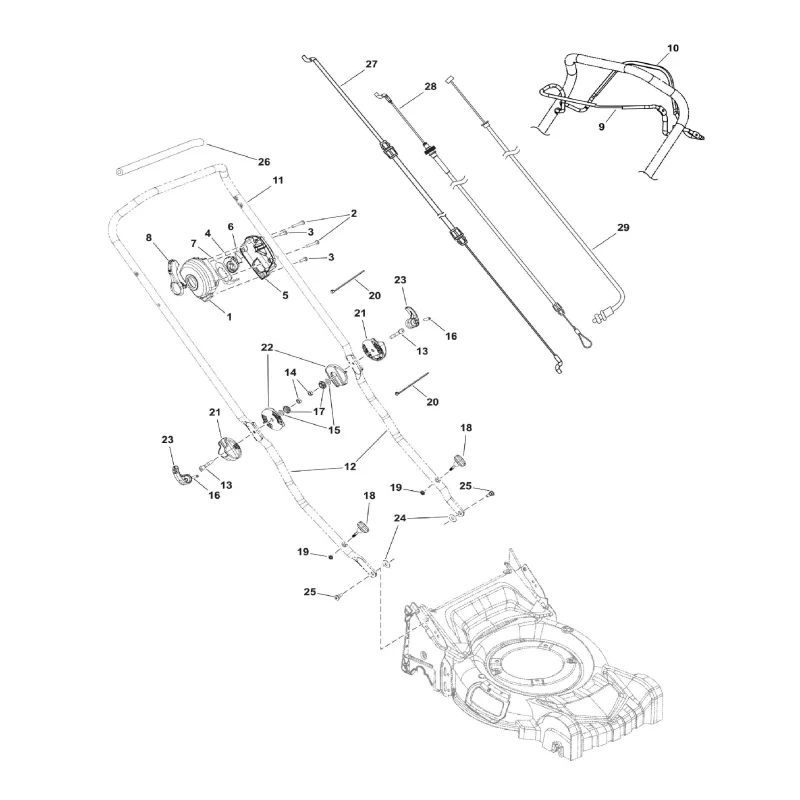 newgardenstore-23241879