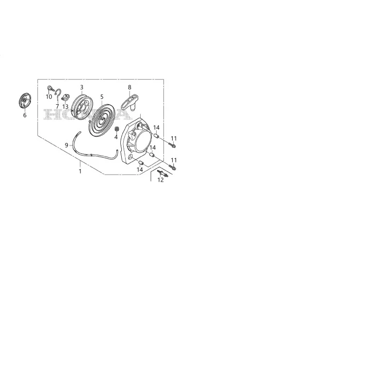 newgardenstore-23812737