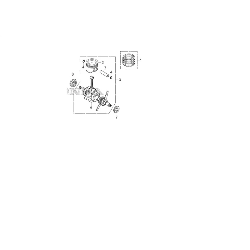 newgardenstore-23813614