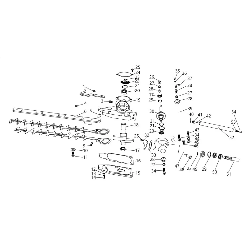newgardenstore-23819886