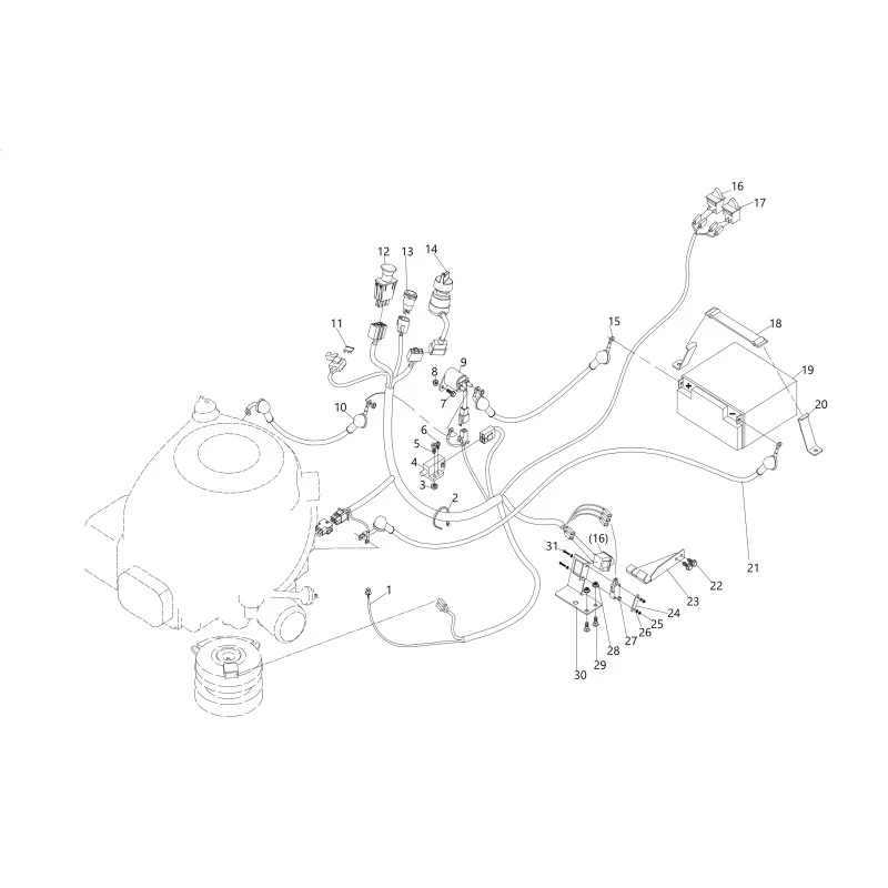 newgardenstore-23832932