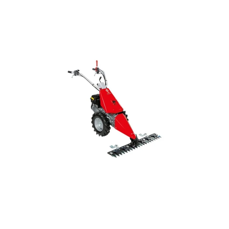 newgardenstore2963055