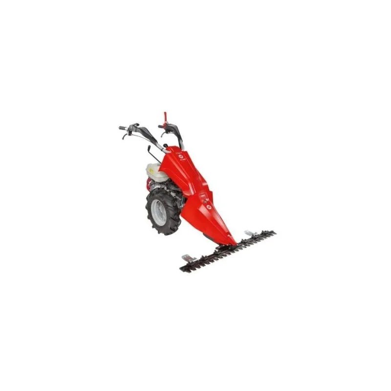newgardenstore2963103