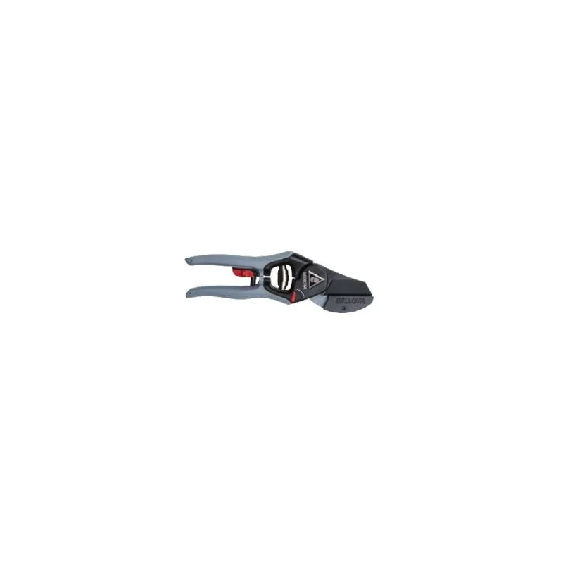 newgardenstore3008072