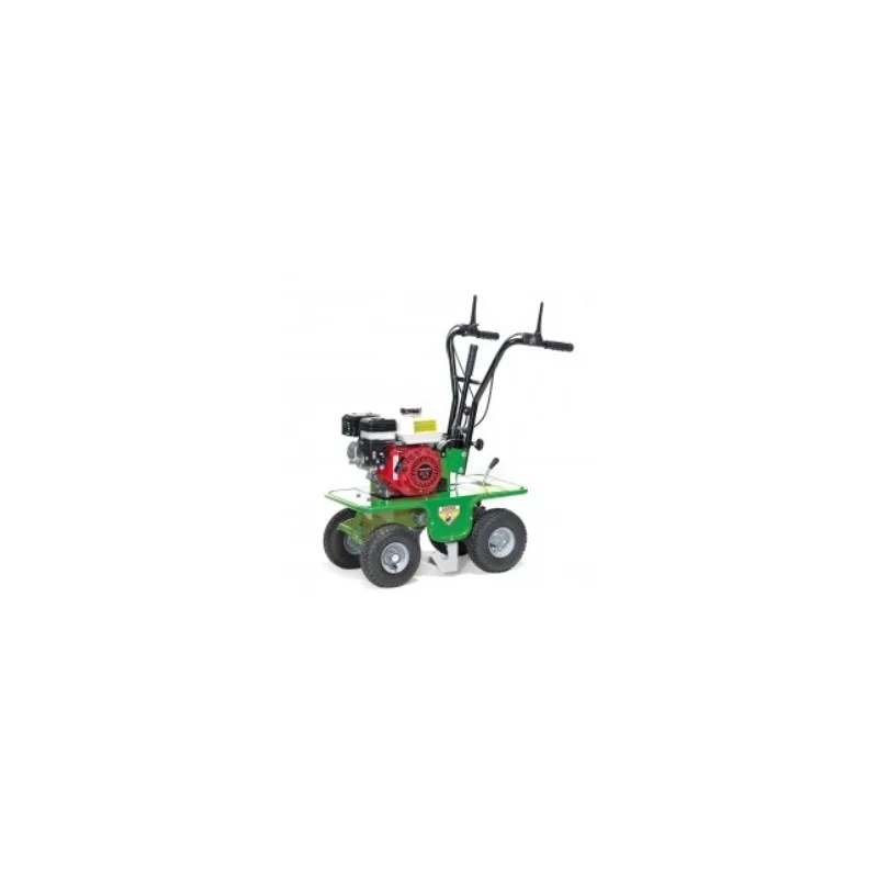 newgardenstore3164040