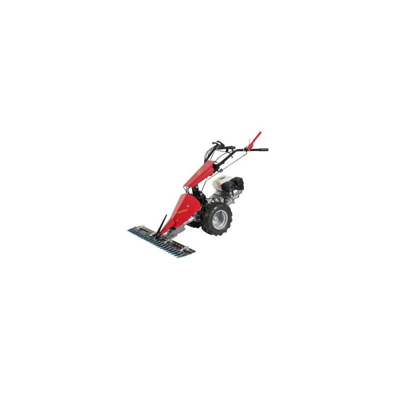 newgardenstore3523073