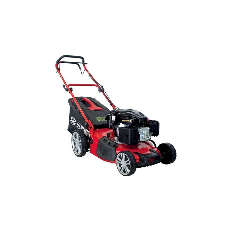 newgardenstore3641829