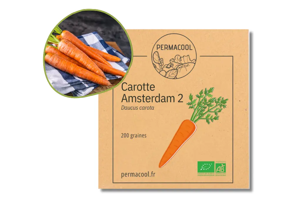 permacool2710949