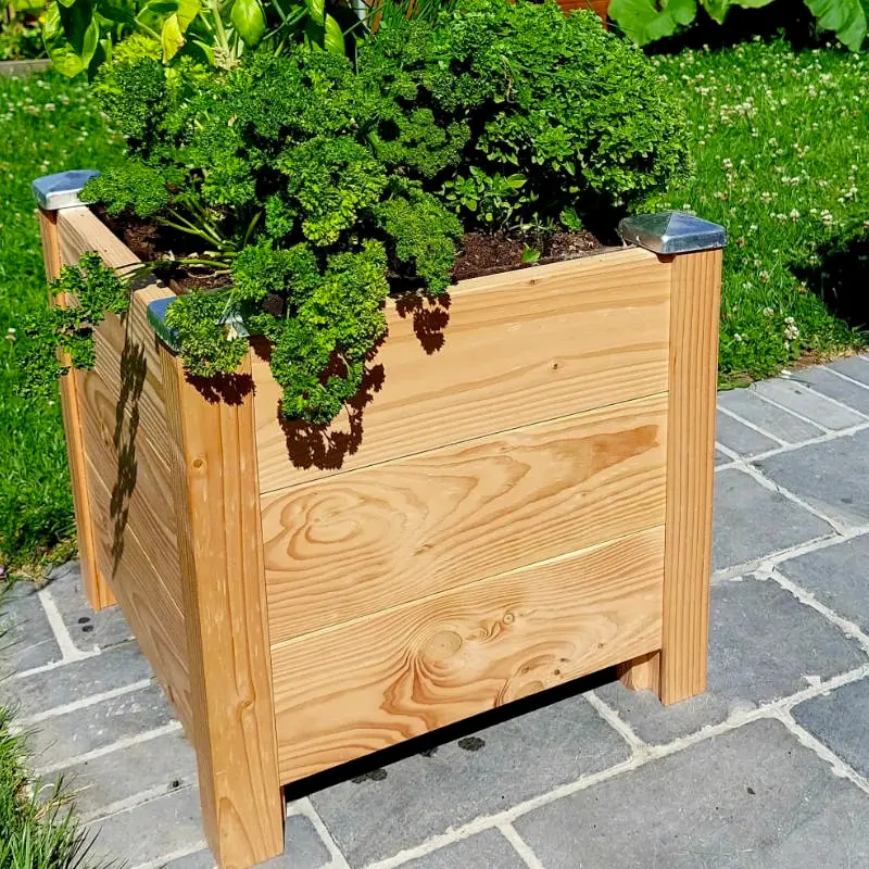 plantezcheznous2709741