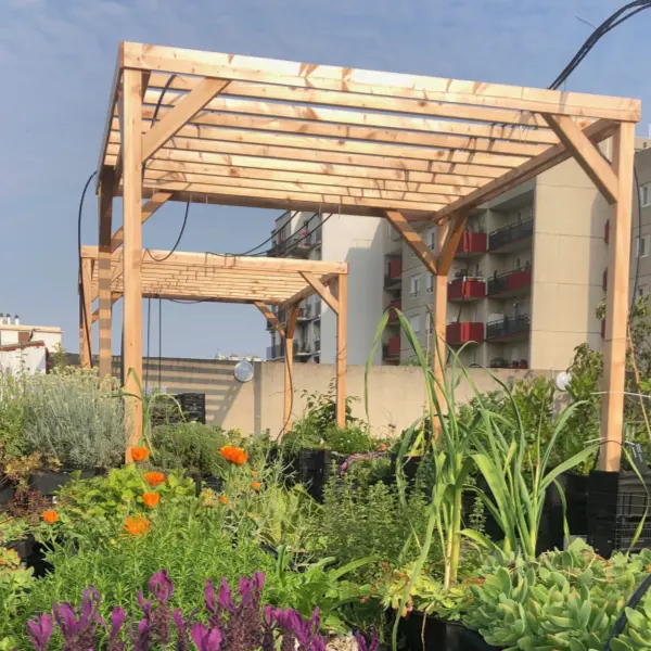 plantezcheznous2711516