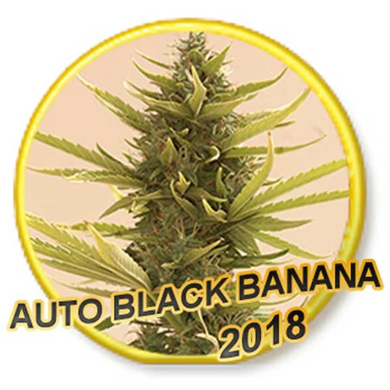 saltonverde2776760