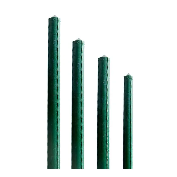 saltonverde2781524