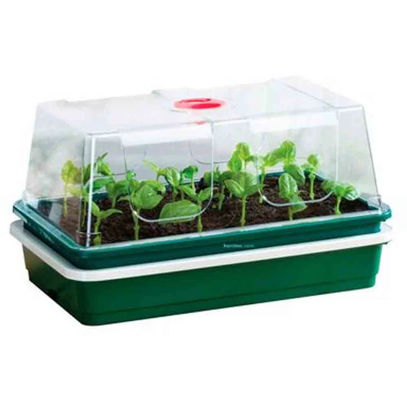 saltonverde2809665