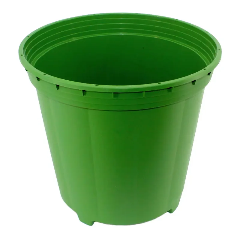 saltonverde2826048