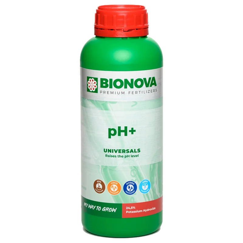 saltonverde2826755