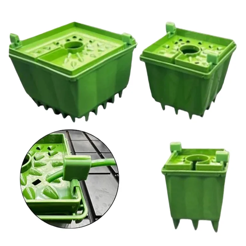 saltonverde2830294