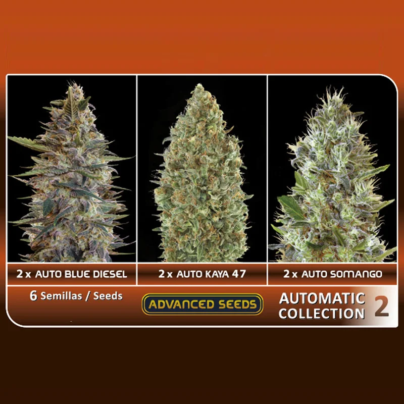 saltonverde2857165