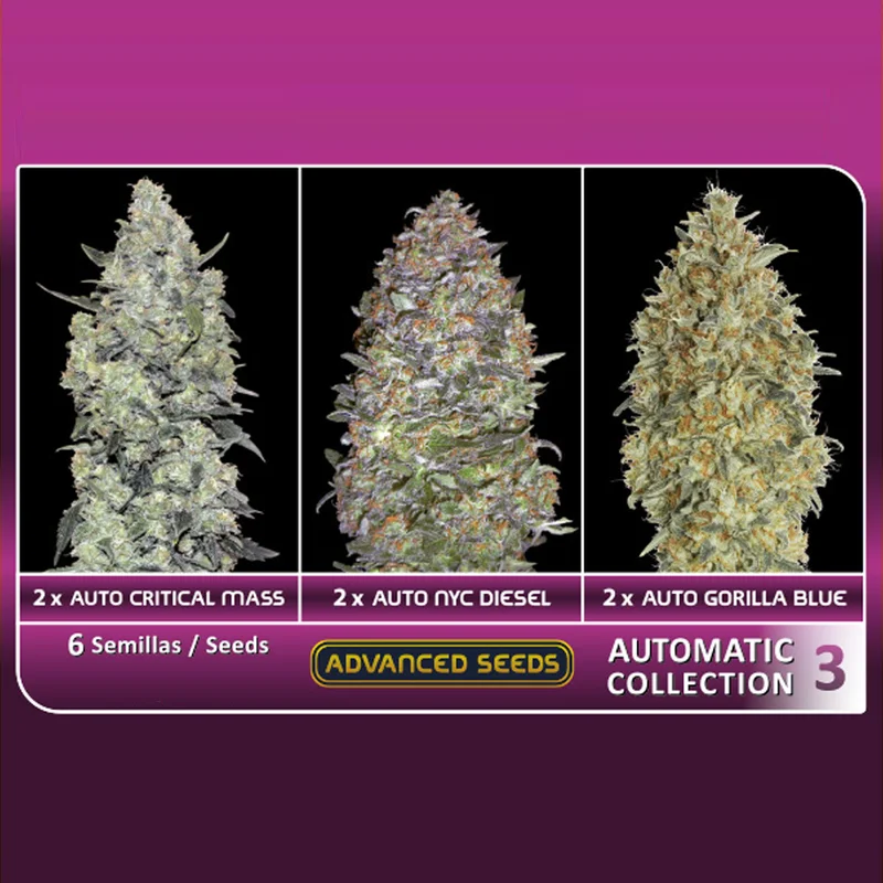 saltonverde2857179
