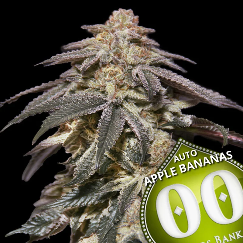 saltonverde2860966