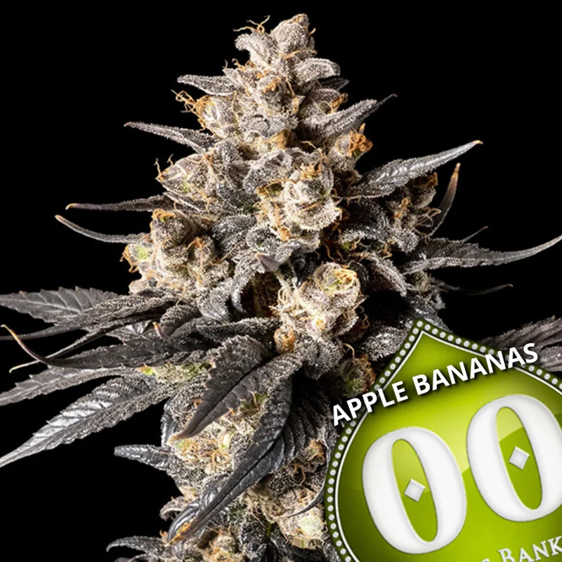 saltonverde2861115