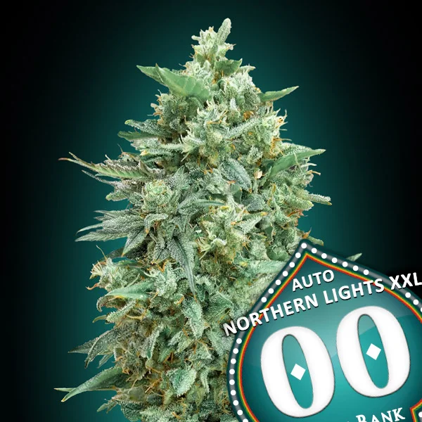 saltonverde2861198