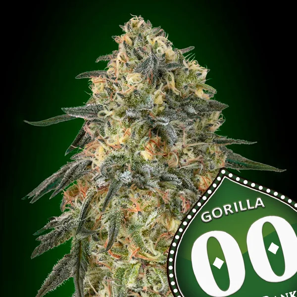 saltonverde2861382