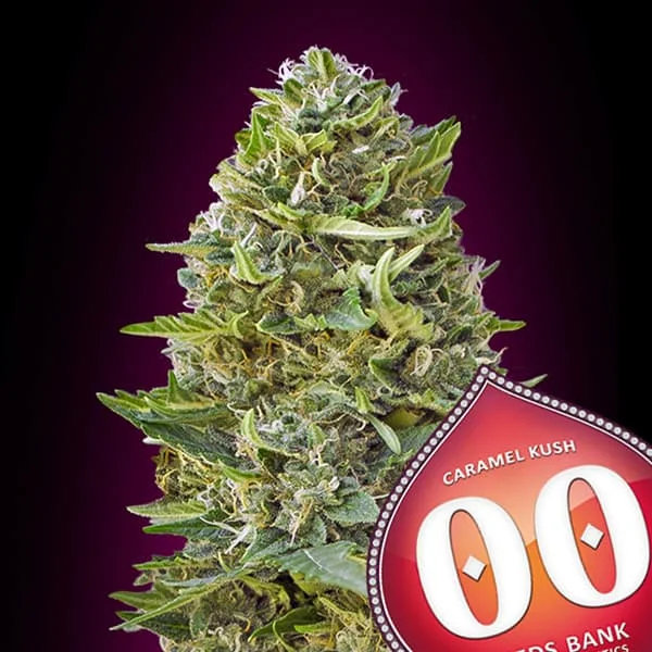saltonverde2861635