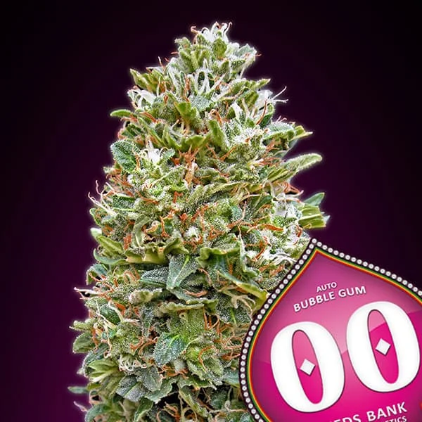 saltonverde2861766