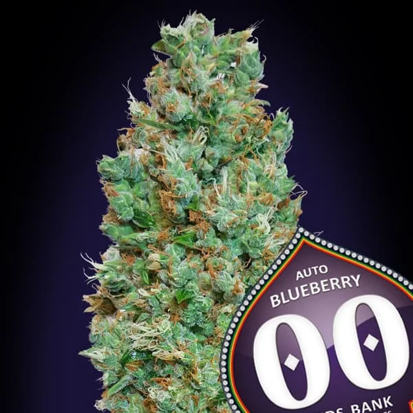 saltonverde2861861