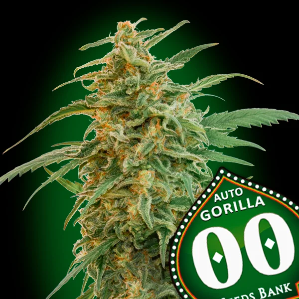 saltonverde2862151
