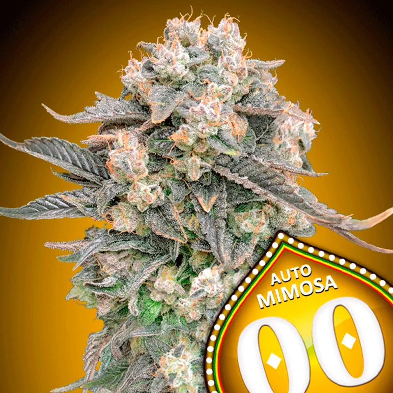 saltonverde2870735