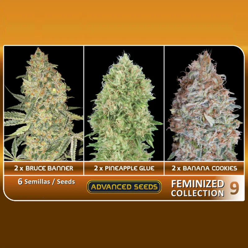 saltonverde2871349