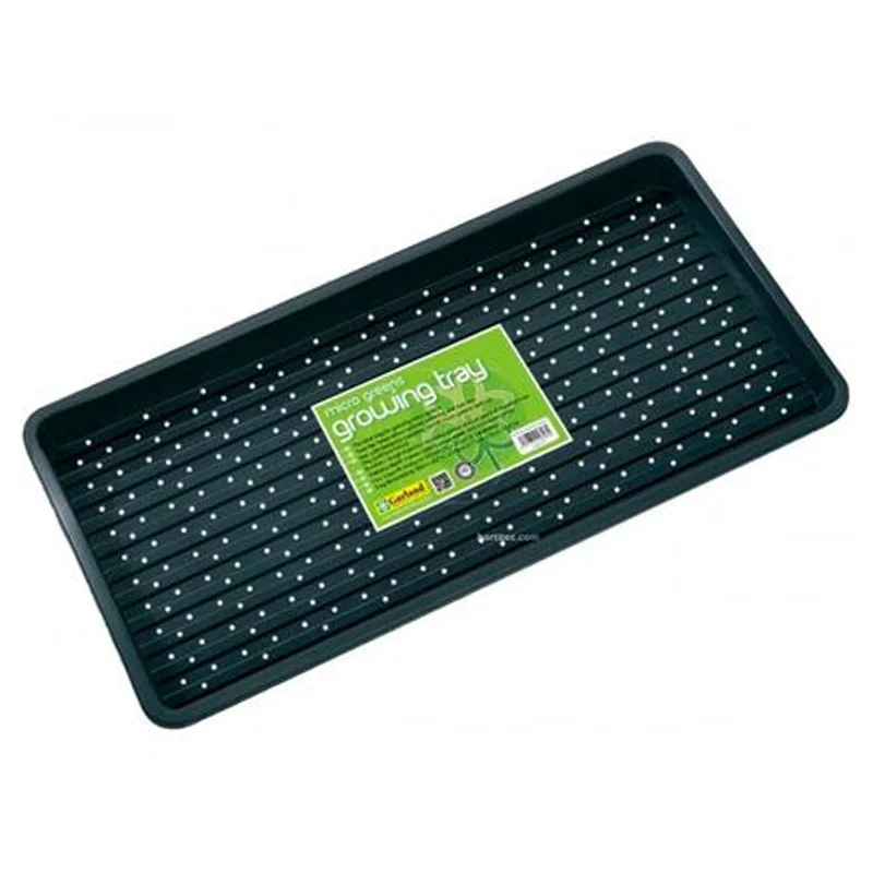 saltonverde2915342