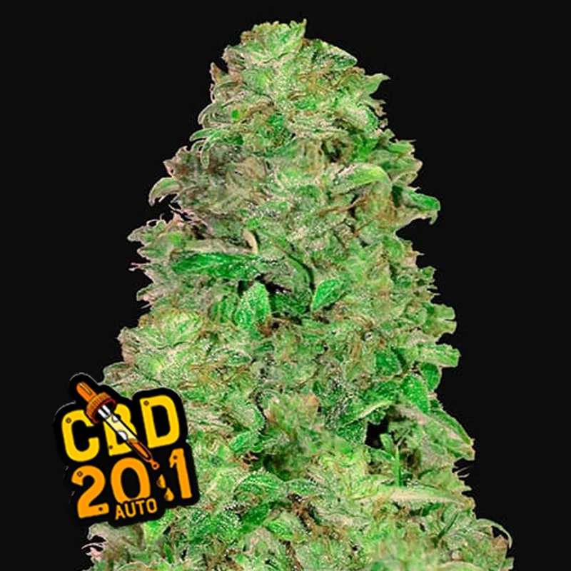 saltonverde2918761